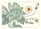 54 photo54_small.jpg